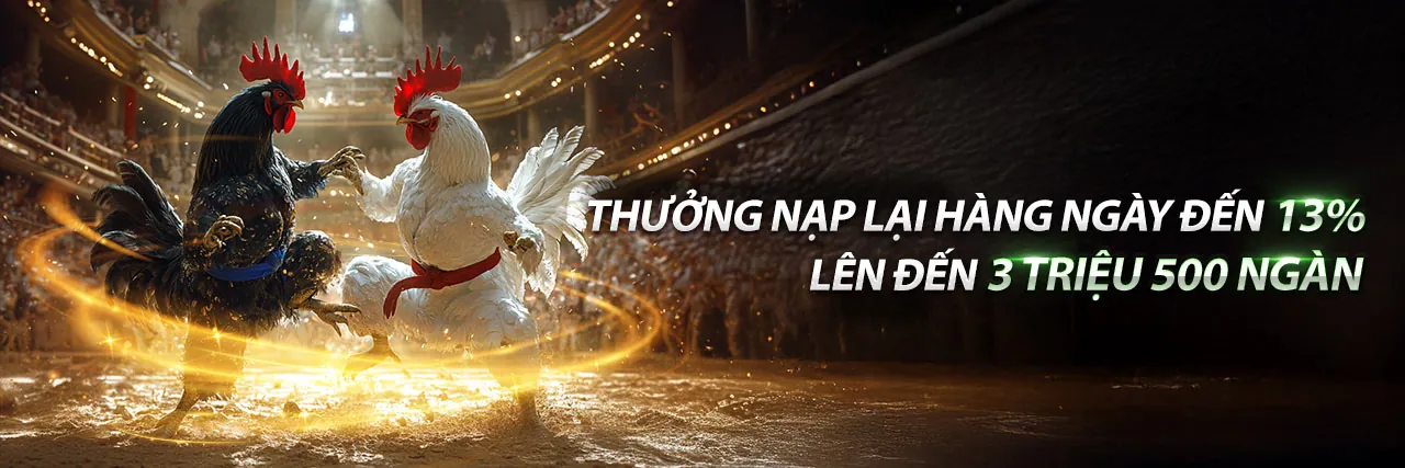Các chương trình khuyến mãi độc quyền tại dkbet8