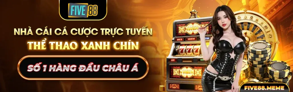 Tổng quan về Casino dkbet8