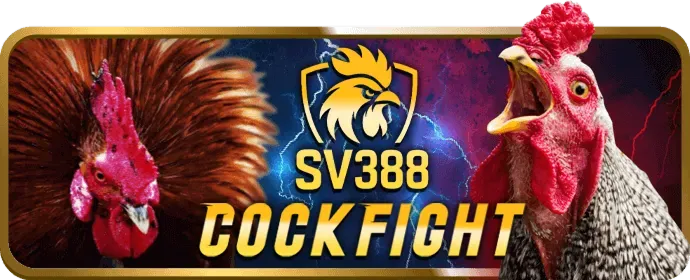 Chương Trình VIP dkbet8